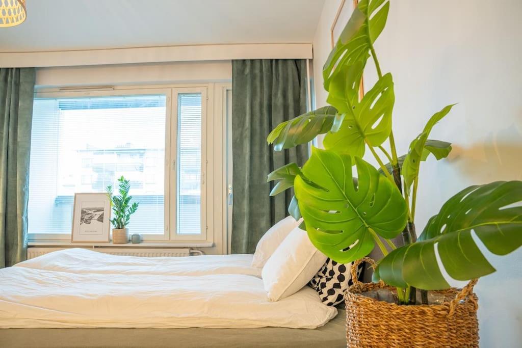 Arctic Downtown Dream: Cozy Apartment